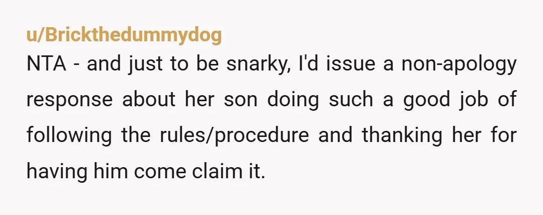 u/Brickthedummydog NTA - and just to be snarky, I'd issue a non-apology response about her son doing such a good job of following the rules/procedure and thanking her for having...