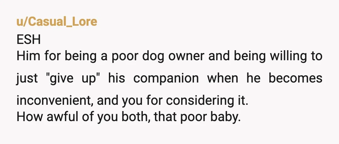 u/hot_throwaway_2006 ESH. You for even thinking of that ultimatum and him for being a s*** dog owner. The only one that loses here is the poor dog. The sad thing...