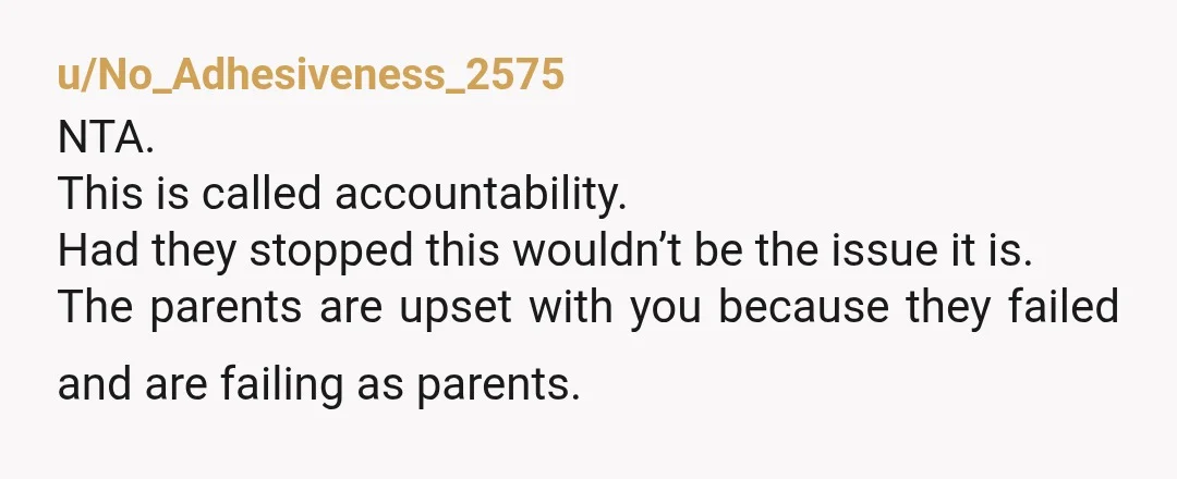 u/istoomycat
So you’re just supposed to sacrifice your property so a teen can learn to break the law? Great neighbors.