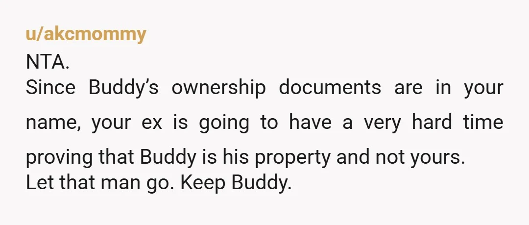 u/akcmommy NTA. Since Buddy’s ownership documents are in your name, your ex is going to have a very hard time proving that Buddy is his property and not yours. Let...