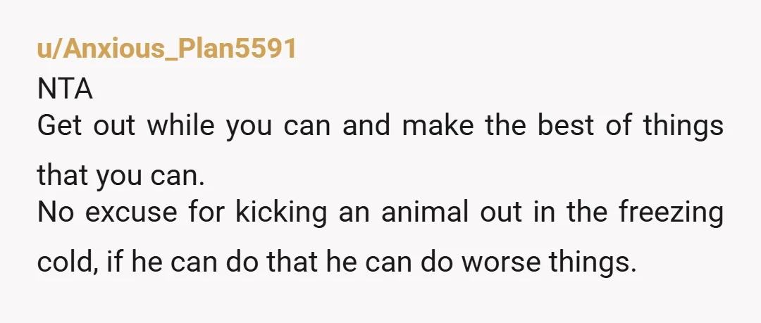 u/Anxious_Plan5591 NTA Get out while you can and make the best of things that you can. No excuse for kicking an animal out in the freezing cold, if he can...