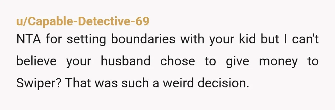 u/Capable-Detective-69
NTA for setting boundaries with your kid but I can't believe your husband chose to give money to Swiper? That was such a weird decision.