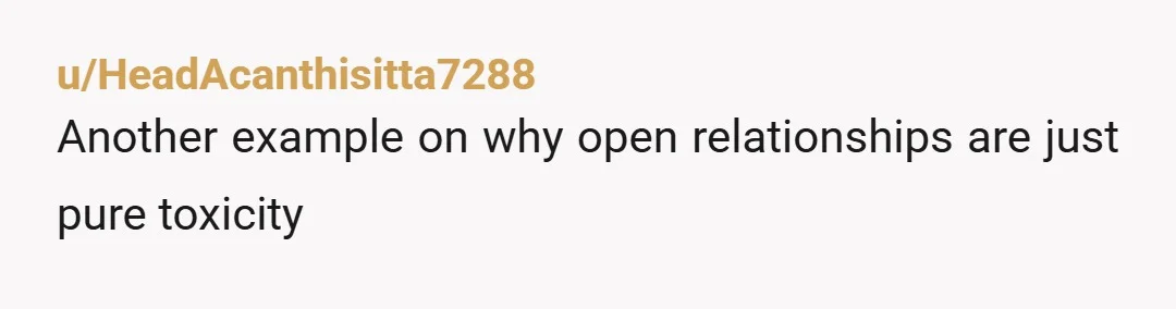 u/HeadAcanthisitta7288
Another example on why open relationships are just pure toxicity