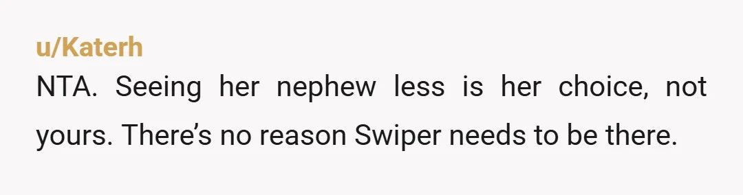 u/Katerh
NTA. Seeing her nephew less is her choice, not yours. There’s no reason Swiper needs to be there.