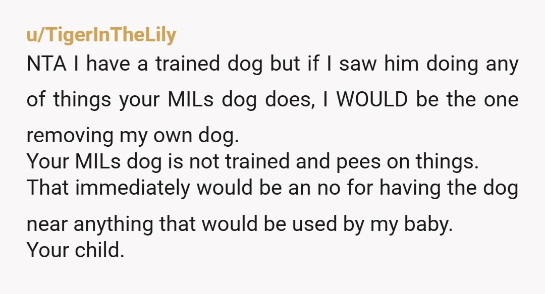 u/TigerInTheLily NTA I have a trained dog but if I saw him doing any of things your MILs dog does, I WOULD be the one removing my own dog. Your...