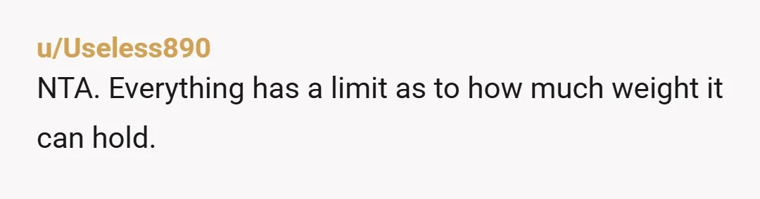 u/CommonKnowledge6882
NTA since you didn’t call him fat.
You take care of your property and he can take care of his feelings.