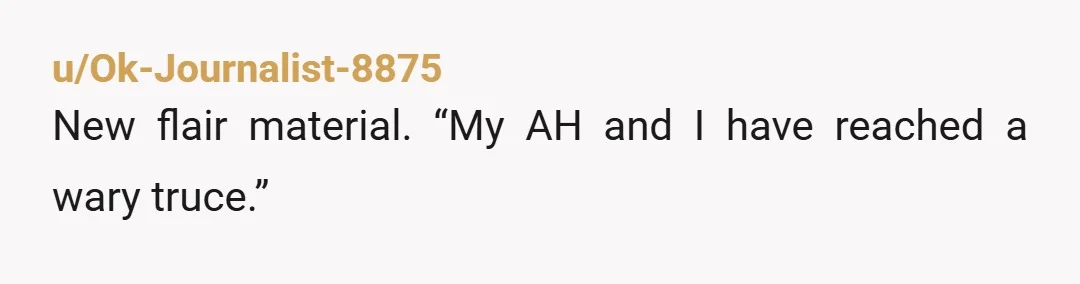 u/Ok-Journalist-8875
New flair material. “My AH and I have reached a wary truce.”