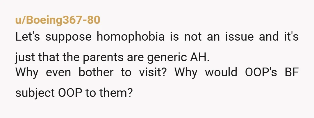 u/Boeing367-80
Let's suppose homophobia is not an issue and it's just that the parents are generic AH.
Why even bother to visit? Why would OOP's BF subject OOP to them?