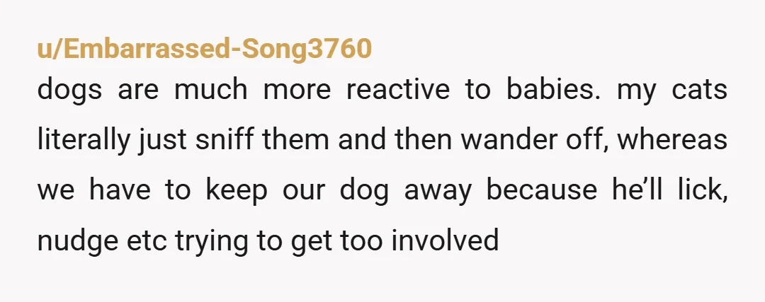 u/CuteMedicine4671 My in laws had a dog that loved to resource guard and they thought it was funny when my child (I was NOT around for this part jsyk) was...