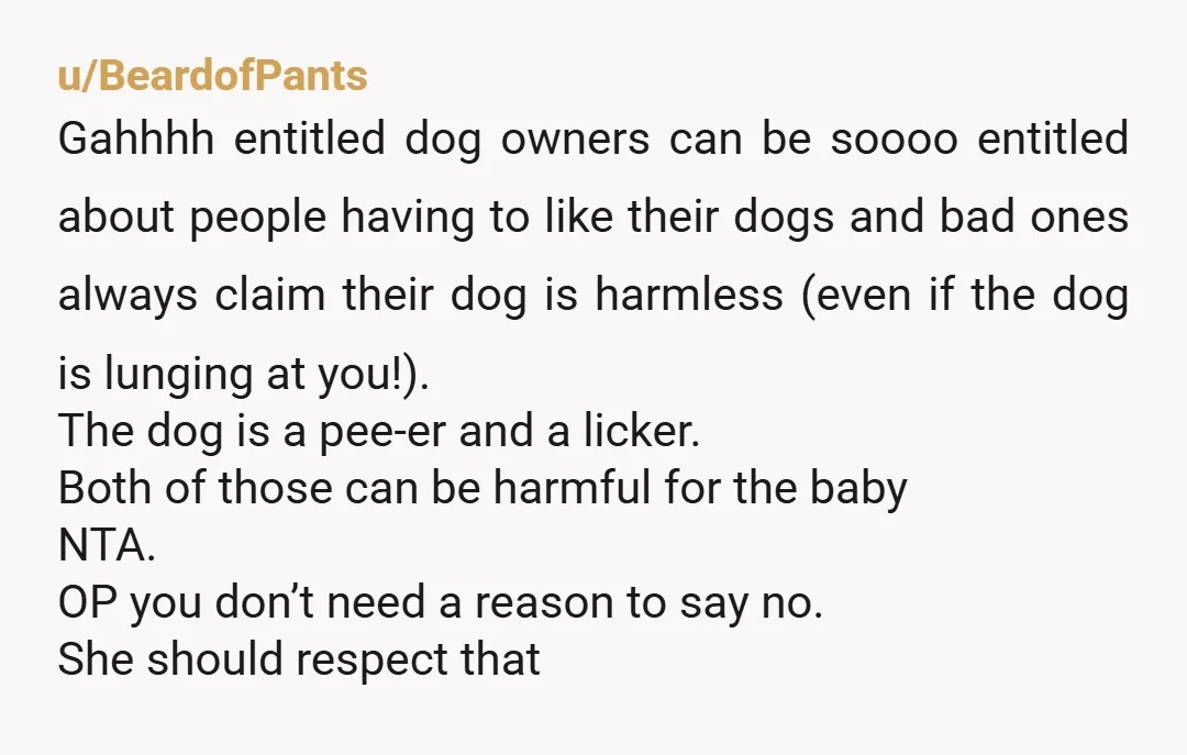 u/Glittering-Key194 Your MIL is insane. You don't have to let a dog jump all over your baby and pee on their things just to prevent your MIL from having her...