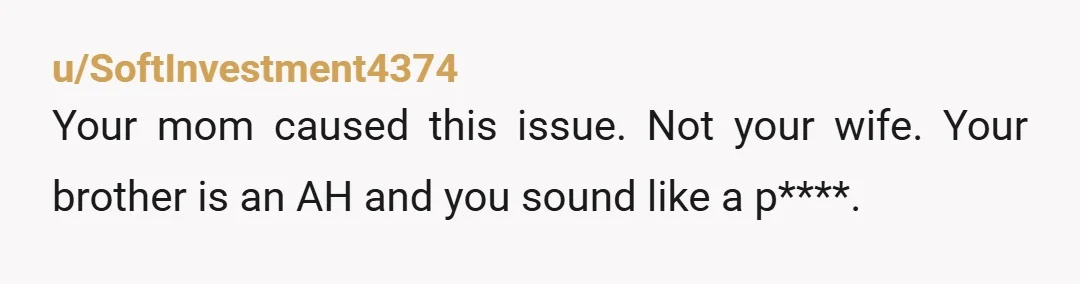 u/AbiesPersonal4641 I don’t think YWBTAH for setting up boundaries. Your mother seems immature and entitled. Your brother sounds like a butttinski, know it all, bully! They both need to learn...