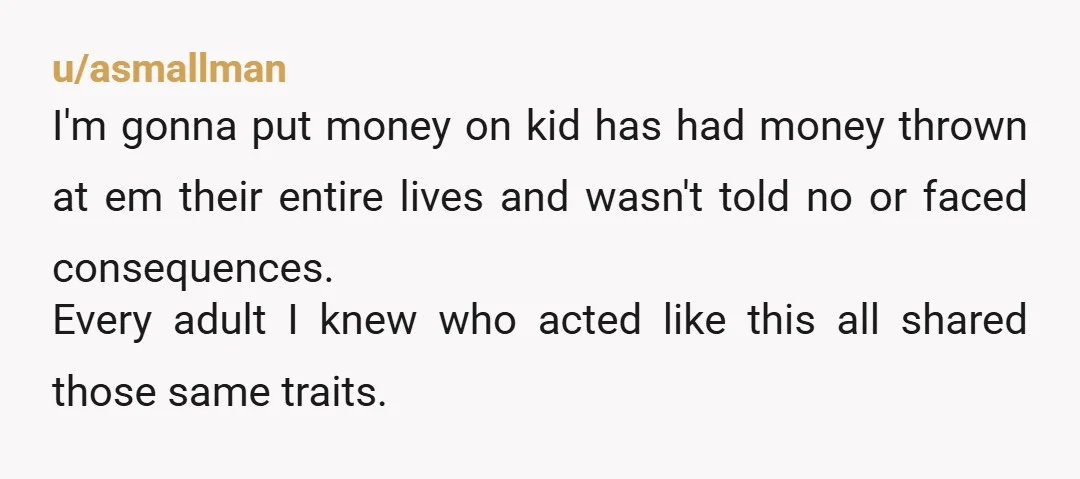 u/asmallman I'm gonna put money on kid has had money thrown at em their entire lives and wasn't told no or faced consequences. Every adult I knew who acted like...