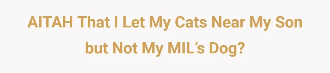 AITAH that I let my cats near my son but not my MIL’s dog?
