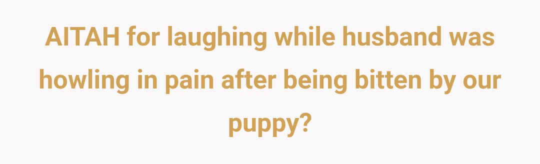 AITAH for laughing while husband was howling in pain after being bitten by our puppy?
