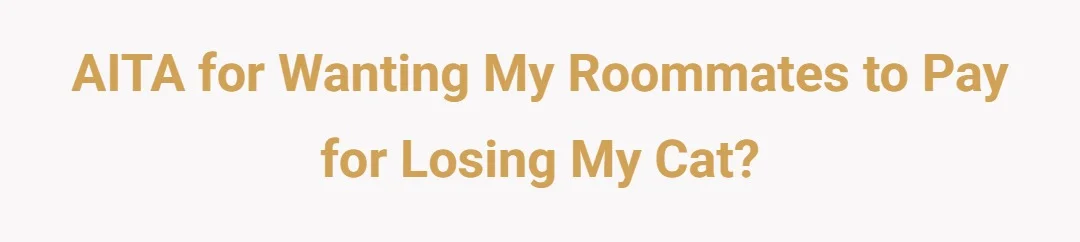 AITA for wanting my roommates to pay for losing my cat?