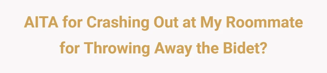 AITA for crashing out at my roommate for throwing away the bidet?
