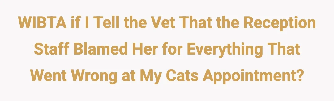 WIBTA if I tell the vet that the reception staff blamed her for everything that went wrong at my cats appointment?