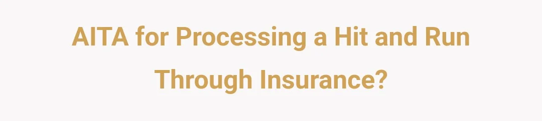 AITA for processing a hit and run though insurance?