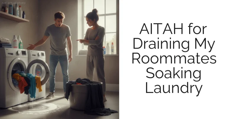 AITAH for Draining My Roommates Soaking Laundry