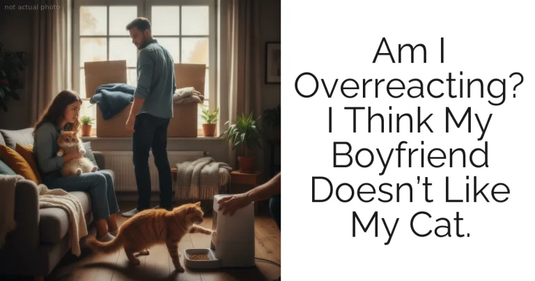 Am I Overreacting? I Think My Boyfriend Doesn’t Like My Cat.