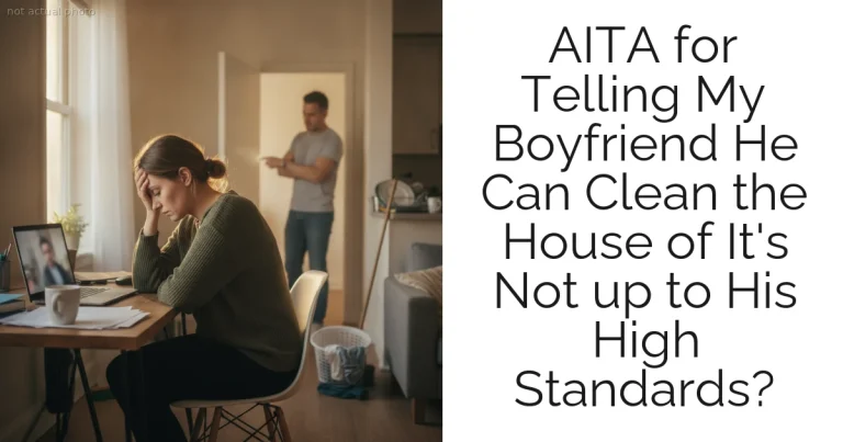 AITA for Telling My Boyfriend He Can Clean the House of It's Not up to His High Standards?
