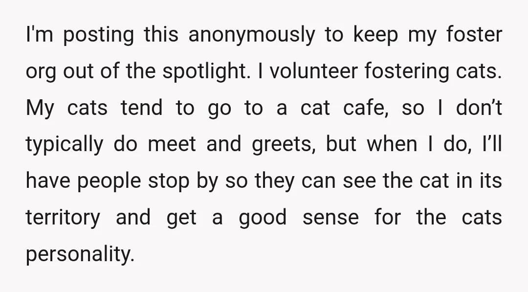 I'm posting this anonymously to keep my foster org out of the spotlight. I volunteer fostering cats. My cats tend to go to a cat cafe, so I don’t typically...