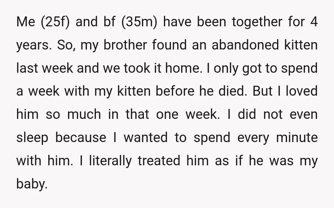 Me (25f) and bf (35m) have been together for 4 years. So, my brother found an abandoned kitten last week and we took it home. I only got to spend...