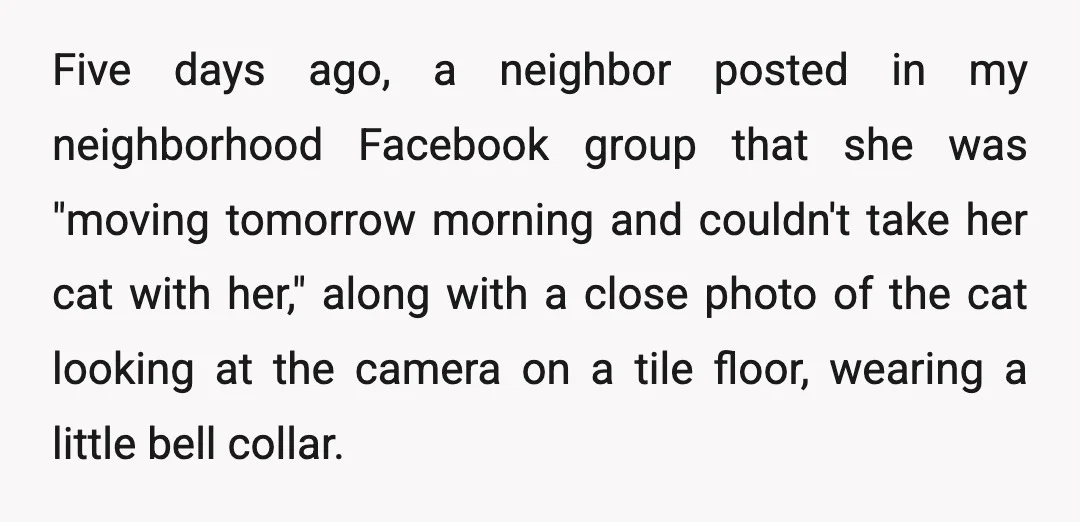 Five days ago, a neighbor posted in my neighborhood Facebook group that she was "moving tomorrow morning and couldn't take her cat with her," along with a close photo of...
