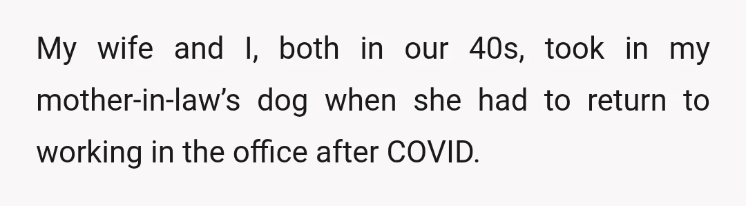 My wife and I, both in our 40s, took in my mother-in-law’s dog when she had to return to working in the office after COVID.