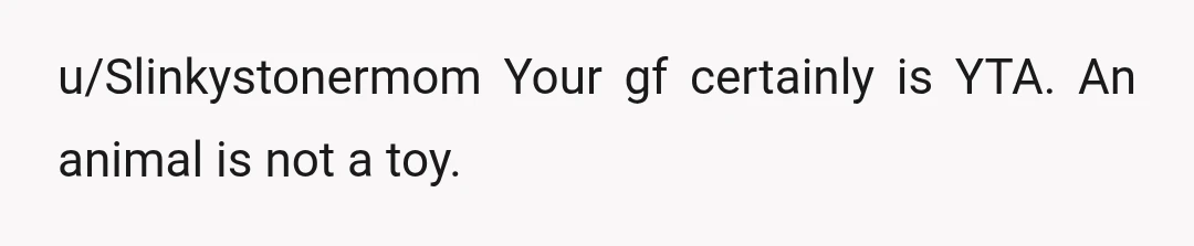 u/Slinkystonermom
Your gf certainly is YTA. An animal is not a toy.