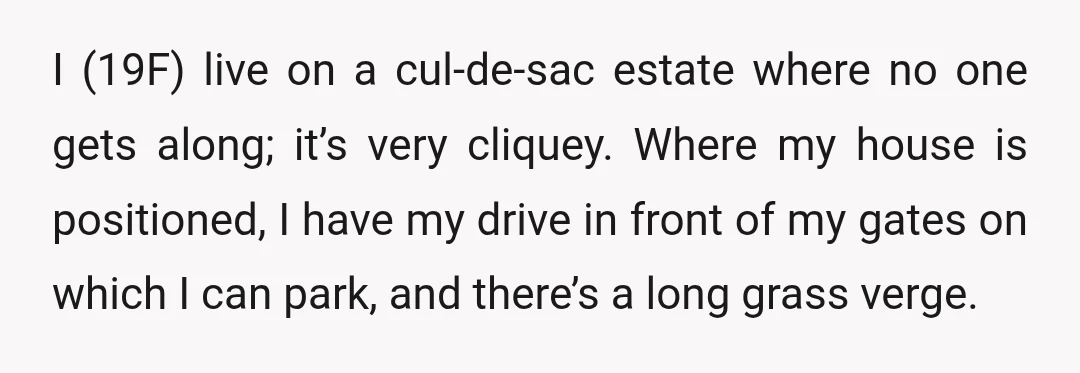 I (19F) live on a cul-de-sac estate where no one gets along; it’s very cliquey. Where my house is positioned, I have my drive in front of my gates on...