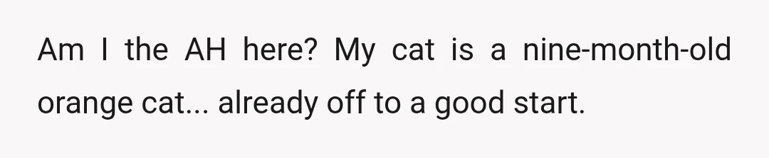 Am I the AH here? My cat is a nine-month-old orange cat... already off to a good start.