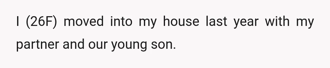 I (26F) moved into my house last year with my partner and our young son.