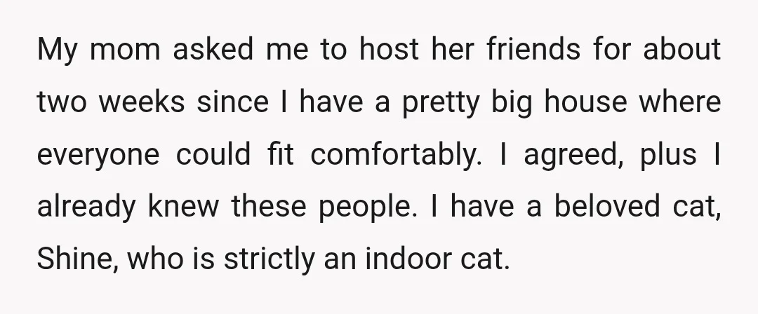 My mom asked me to host her friends for about two weeks since I have a pretty big house where everyone could fit comfortably. I agreed, plus I already knew...
