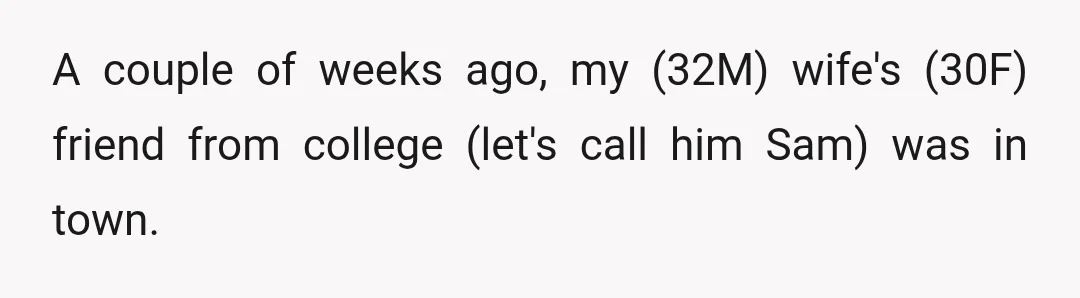 A couple of weeks ago, my (32M) wife's (30F) friend from college (let's call him Sam) was in town.
