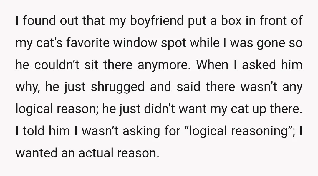 I found out that my boyfriend put a box in front of my cat’s favorite window spot while I was gone so he couldn’t sit there anymore. When I asked...