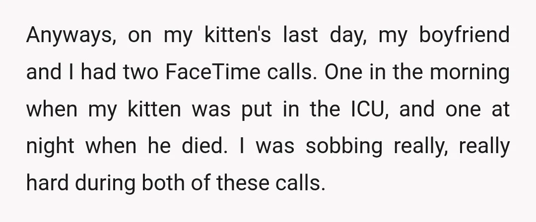 Anyways, on my kitten's last day, my boyfriend and I had two FaceTime calls. One in the morning when my kitten was put in the ICU, and one at night...