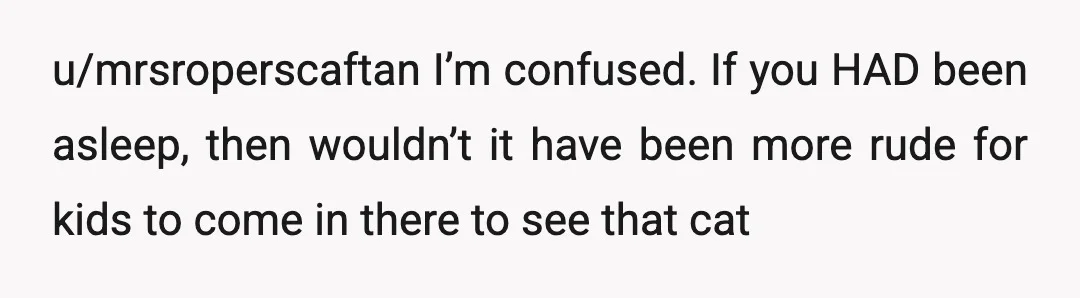 u/mrsroperscaftan
I’m confused.
If you HAD been asleep, then wouldn’t it have been more rude for kids to come in there to see that cat