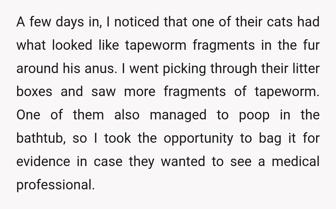 A few days in, I noticed that one of their cats had what looked like tapeworm fragments in the fur around his anus. I went picking through their litter boxes...