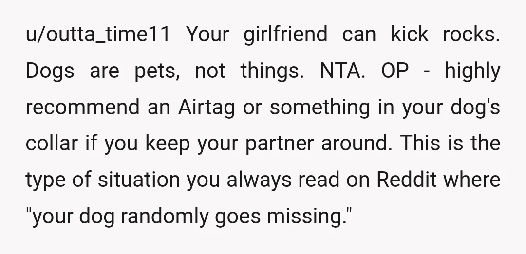 u/outta_time11 Your girlfriend can kick rocks. Dogs are pets, not things. NTA. OP - highly recommend an Airtag or something in your dog's collar if you keep your partner around....