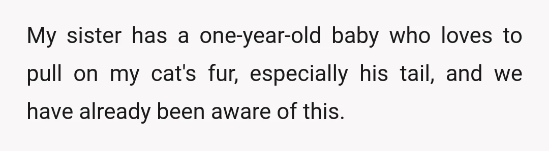 My sister has a one-year-old baby who loves to pull on my cat's fur, especially his tail, and we have already been aware of this.