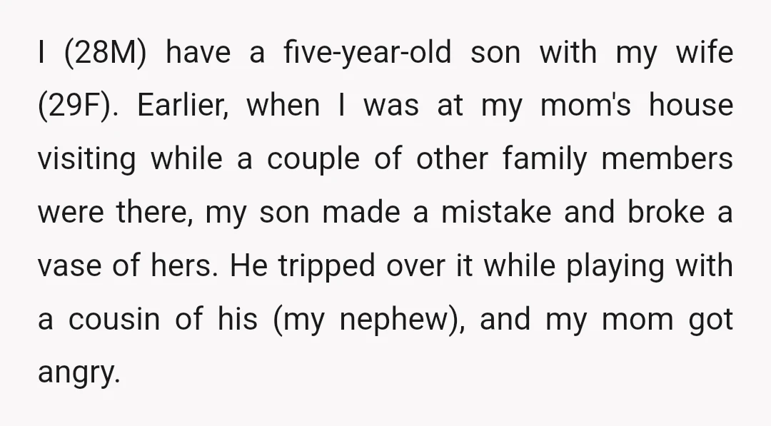 I (28M) have a five-year-old son with my wife (29F). Earlier, when I was at my mom's house visiting while a couple of other family members were there, my son...
