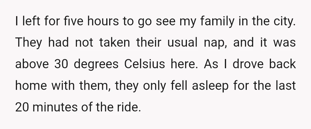 I left for five hours to go see my family in the city. They had not taken their usual nap, and it was above 30 degrees Celsius here. As I...