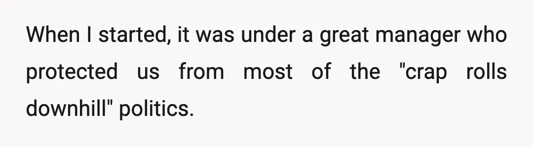 When I started, it was under a great manager who protected us from most of the "crap rolls downhill" politics.