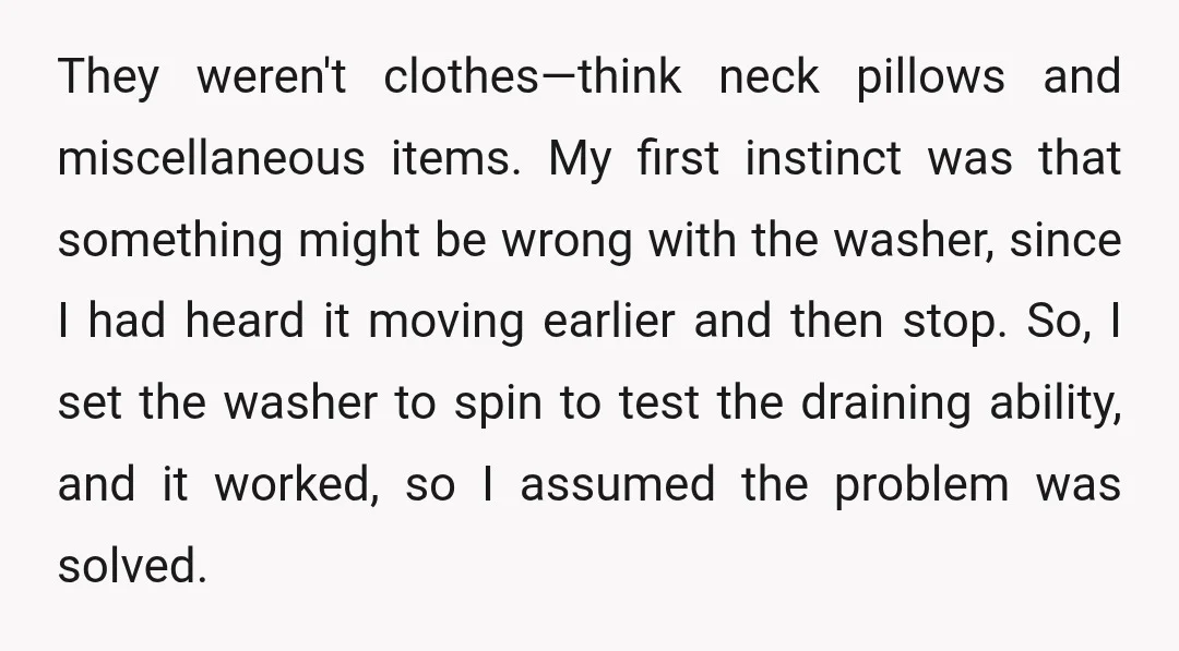 They weren't clothes—think neck pillows and miscellaneous items. My first instinct was that something might be wrong with the washer, since I had heard it moving earlier and then stop....