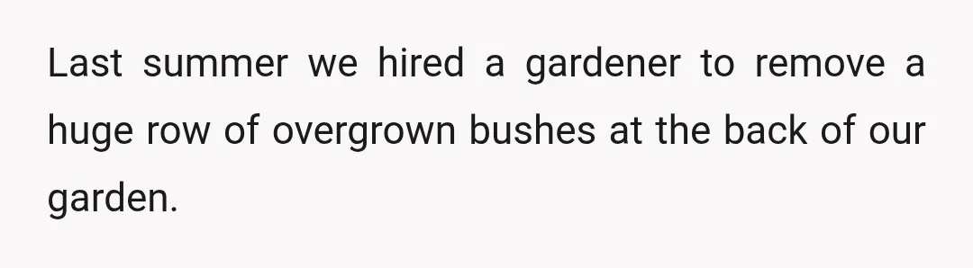 Last summer we hired a gardener to remove a huge row of overgrown bushes at the back of our garden.