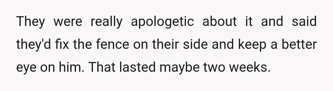They were really apologetic about it and said they'd fix the fence on their side and keep a better eye on him. That lasted maybe two weeks.