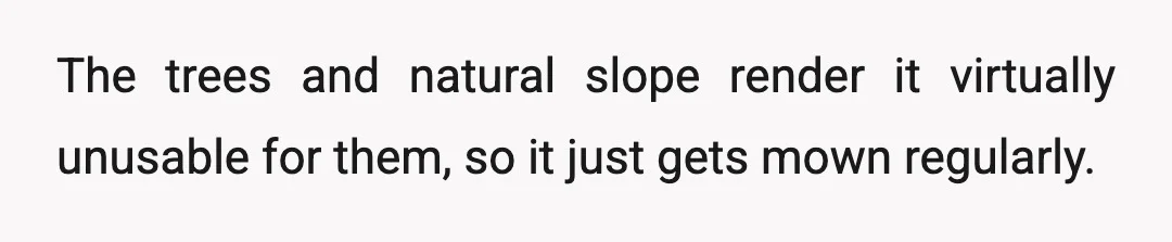 The trees and natural slope render it virtually unusable for them, so it just gets mown regularly.