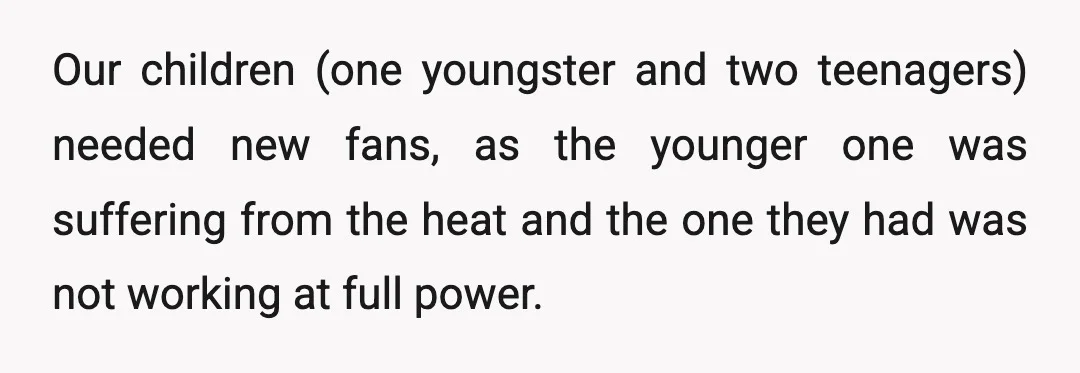 Our children (one youngster and two teenagers) needed new fans, as the younger one was suffering from the heat and the one they had was not working at full power.