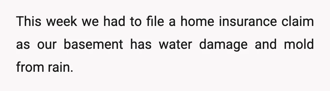 This week we had to file a home insurance claim as our basement has water damage and mold from rain.